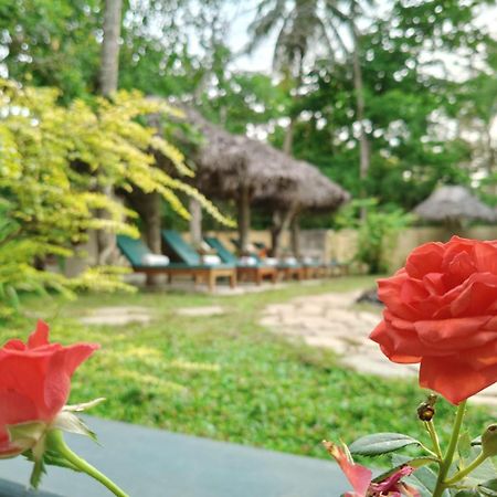 Marari Beach Bungalow Resort Alleppey Mararikulam Exteriör bild