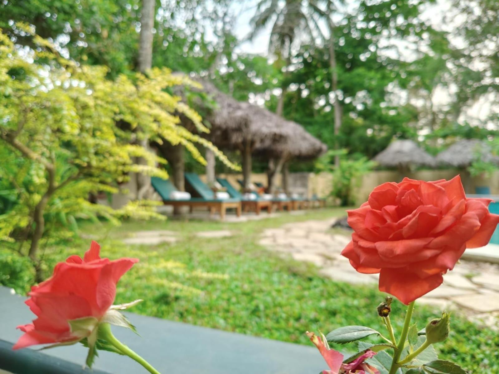 Marari Beach Bungalow Resort Alleppey Mararikulam Exteriör bild